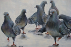 1_les-pigeons