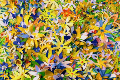 LES-FLORES-JAUNES-NATALIA-KURUCH